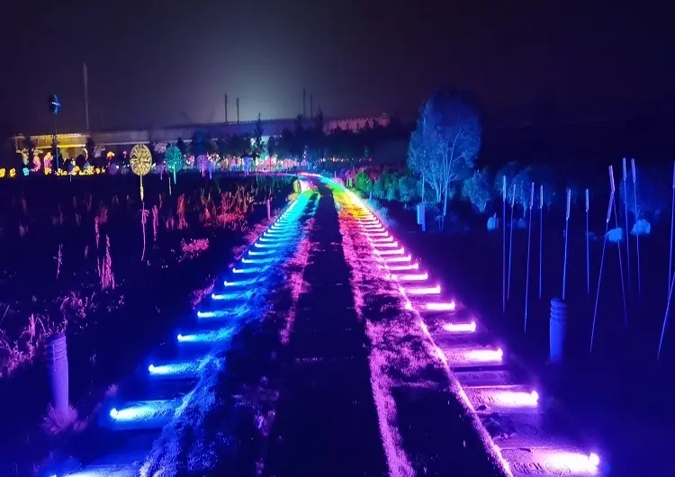 成都照明亮化大菠萝福建官网海纳百川製作安裝